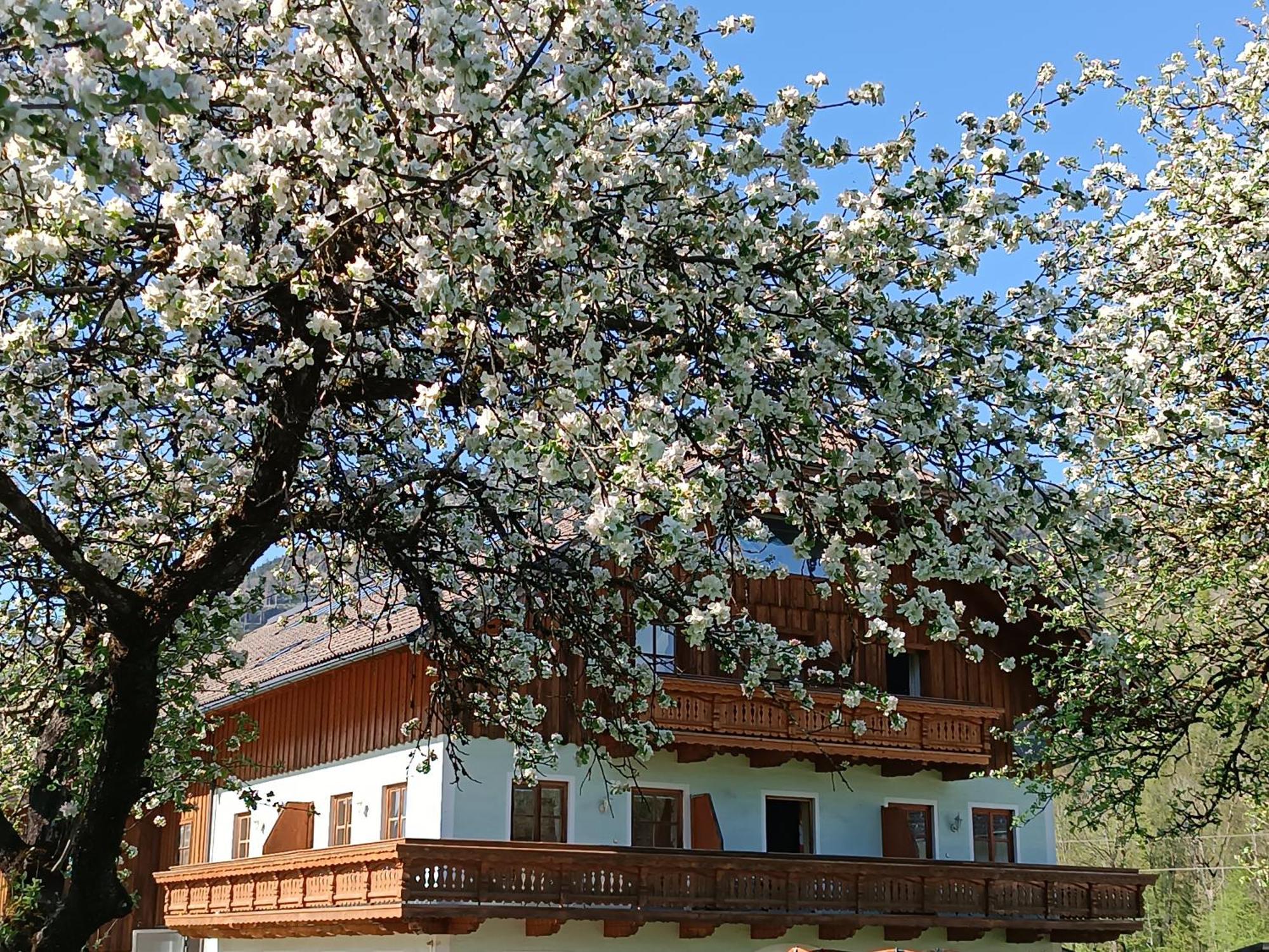 Ferienwohnung Hintererhof Hintersee Exterior foto