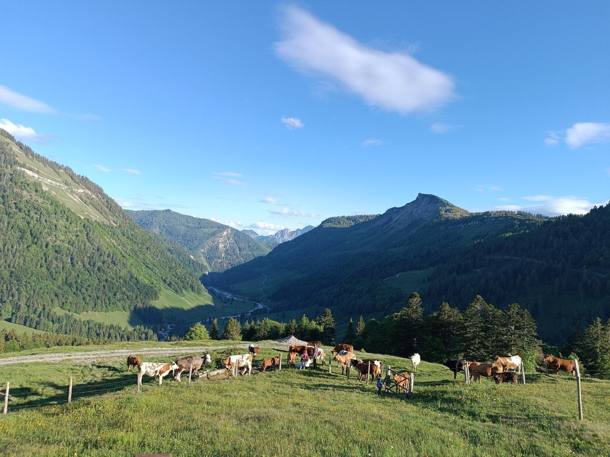 Ferienwohnung Hintererhof Hintersee Exterior foto